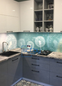 clients and partners7-foto-skinali-23 scf.by